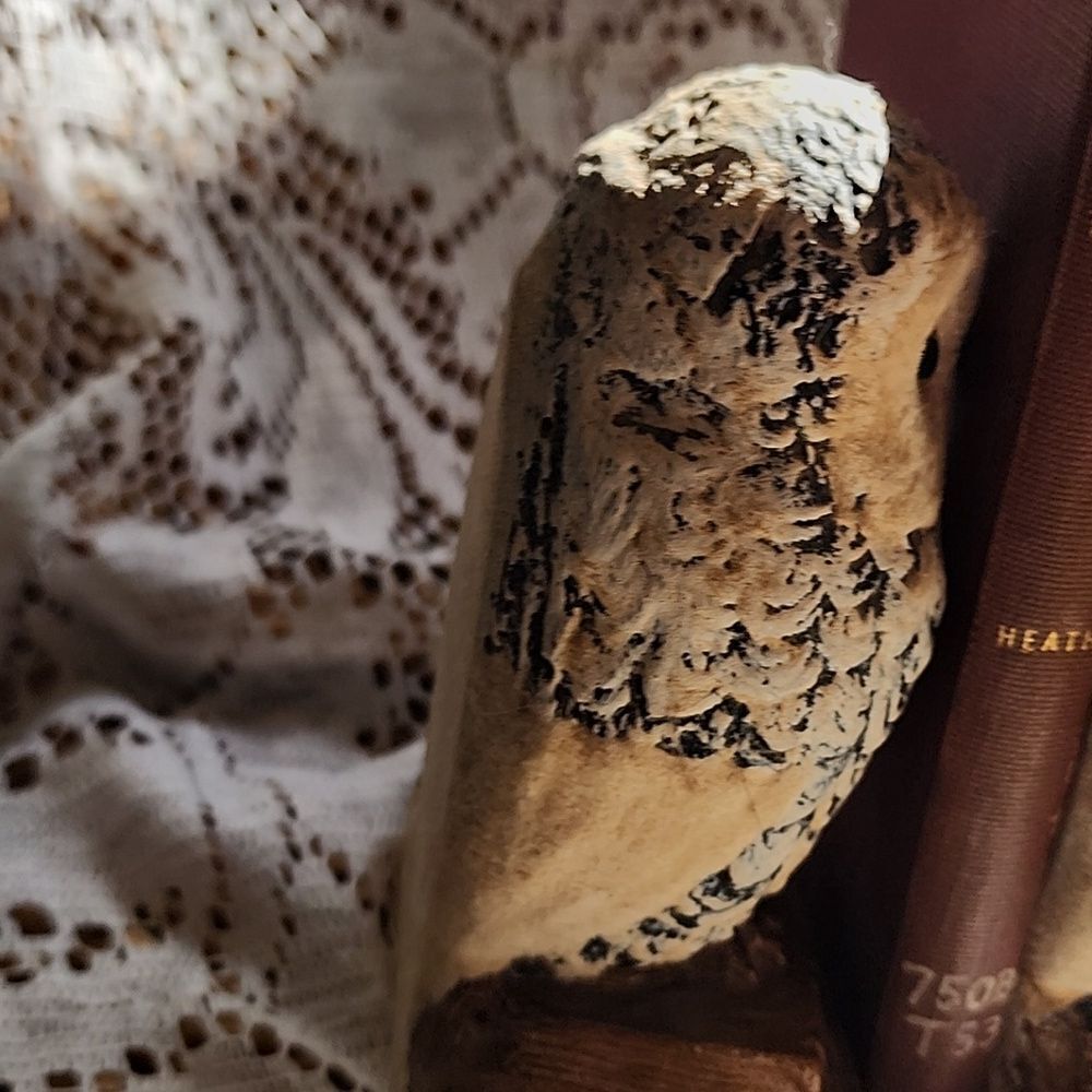 Chippy Chalkware Knowledge Owl Bookends - Picture 8 of 13
